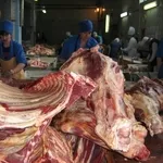Работа на мясокомбинате в Польше