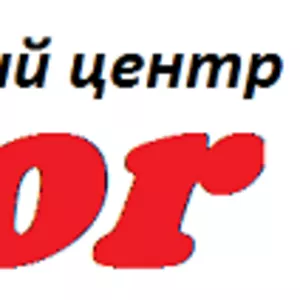 Курсы менеджеров по персоналу в учебном центре «Vektor»