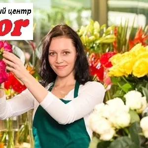 Курсы Флористики Vektor