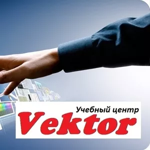 Курсы компьютерной графики Vektor