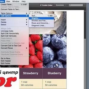 Курсы Adobe InDesign. Учебный центр 