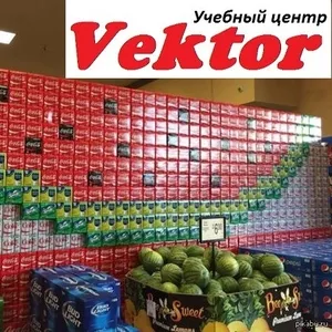 Курсы Мерчандайзер в Херсоне. Учебный центр Vektor.