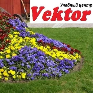 Курсы в Херсоне дизайн садового участка. Учебный центр Vektor.