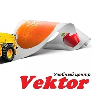 Курсы в Херсоне. Дизайн рекламы. Обучение. УЦ Vektor