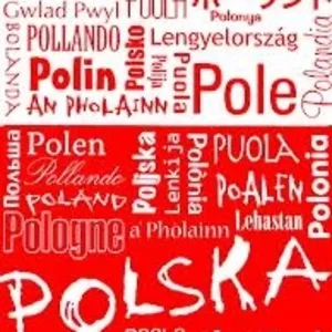 Курс польского языка в учебном центре «Твой Успех»