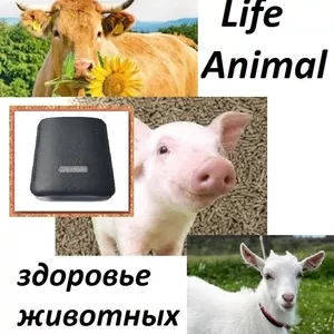 Устройство для лечения животных Life Animal.