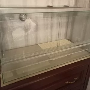 Тераріум для черепах
