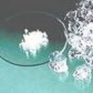 Гидрогель LUXSORB™ - удерживающий влагу суперабсорбент