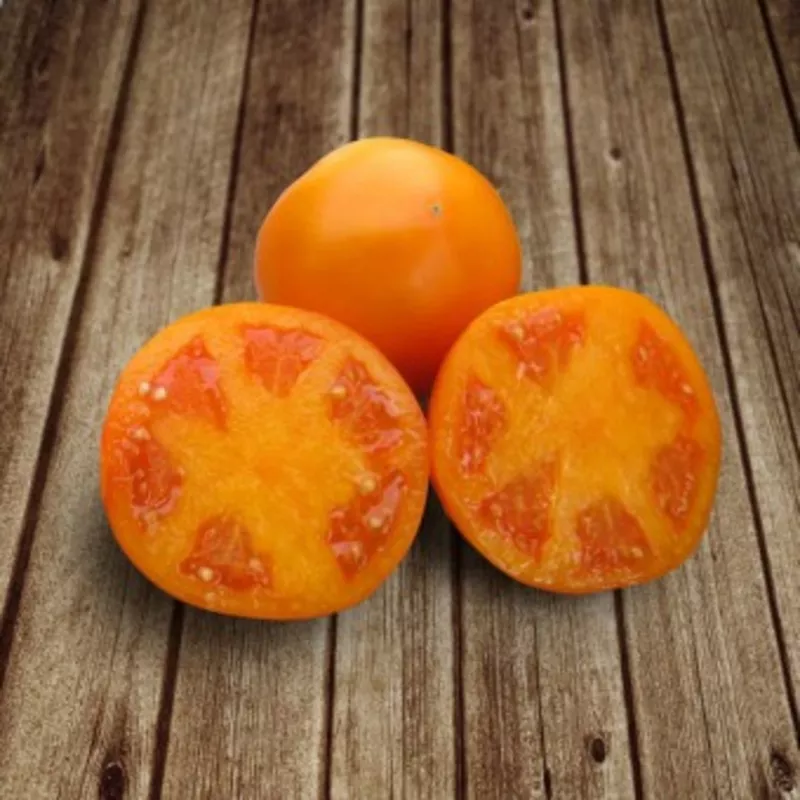 Семена оранжевого томата KS 18 F1 (Китано) 2