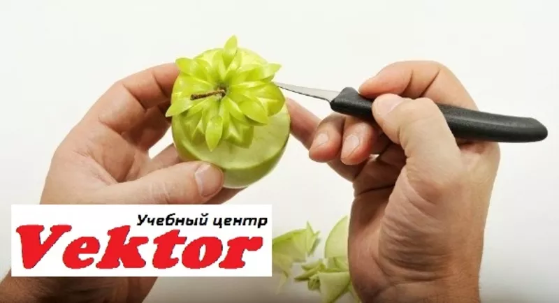 Курсы карвинга в учебном центре «Vektor»