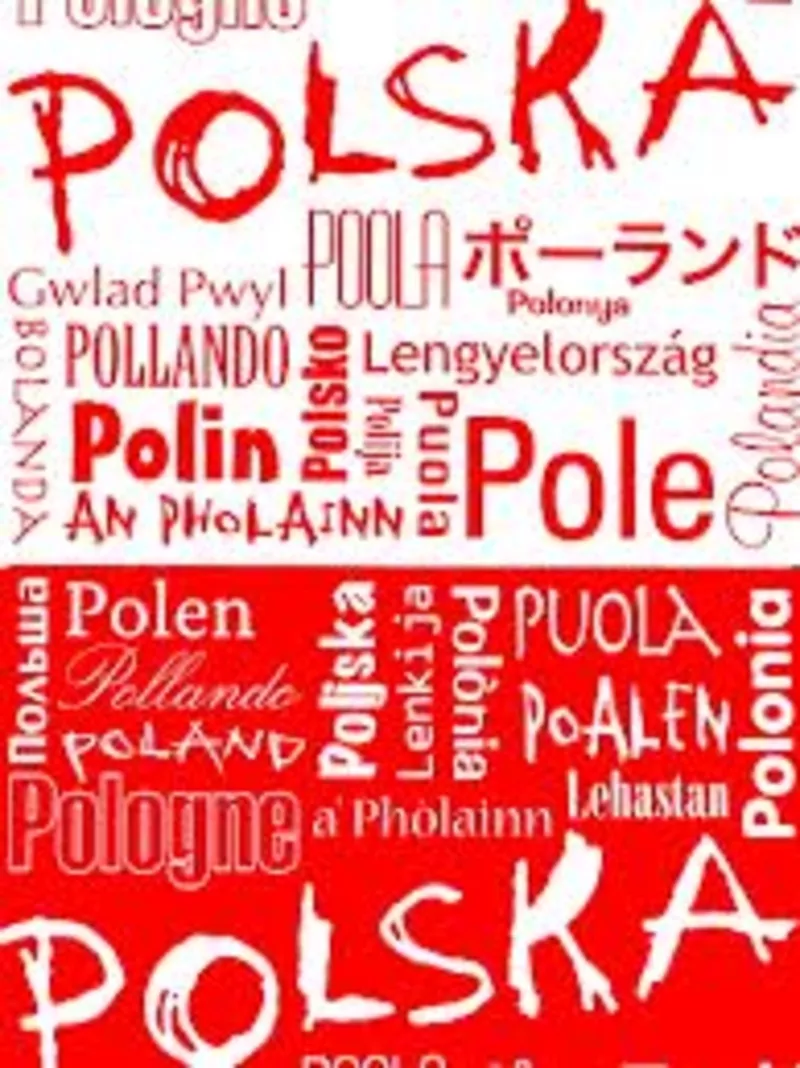 Курсы польского языка в учебном центре Твой Успех.