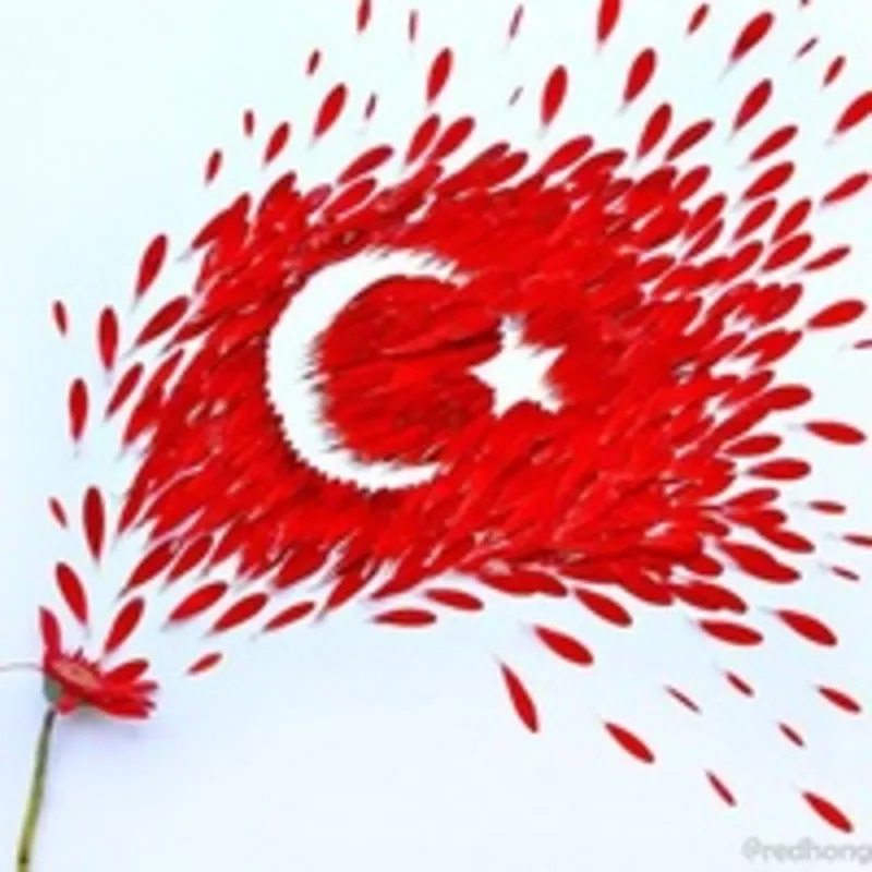 Учебный центр «Твой Успех» обьявляет набор на курс турецкого языка. 