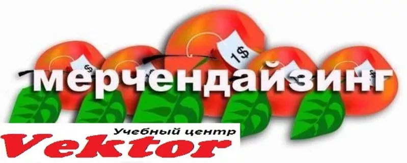 Курсы Мерчандайзер. Дешевые курсы в Херсоне. УЦ Vektor.