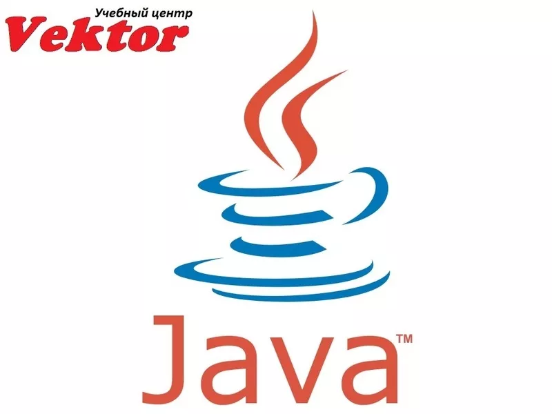 Курсы в Херсоне.Программирование на языке Java. УЦ Vektor.