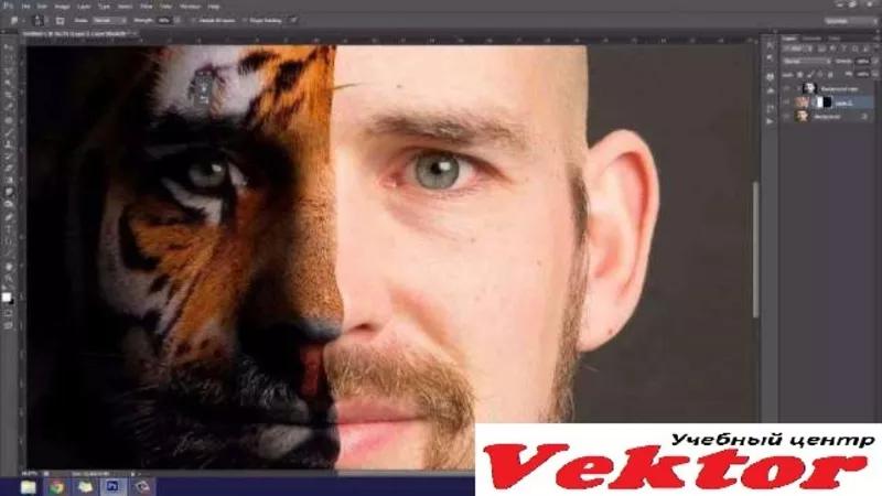 Курсы корела и фотошопа в Херсоне. УЦ Vektor.