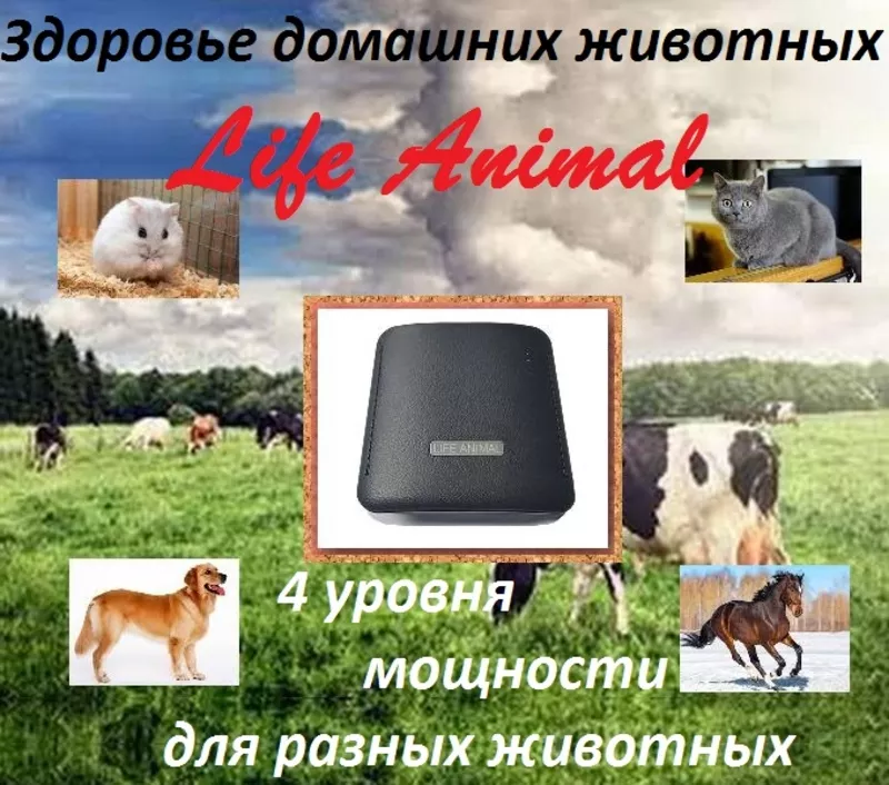 Устройство для лечения животных Life Animal. 2