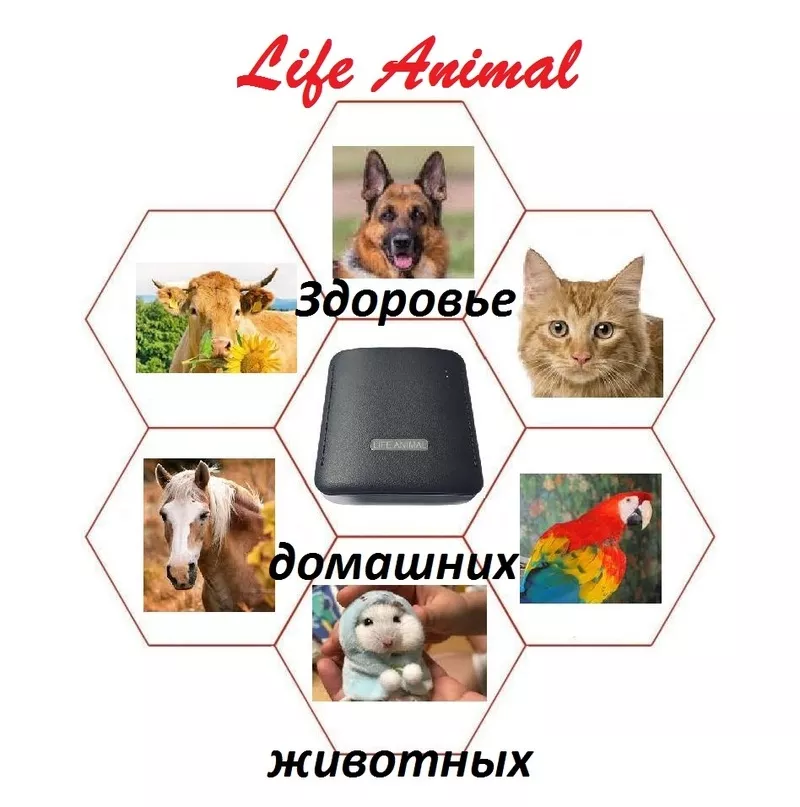 Устройство для лечения животных Life Animal. 3