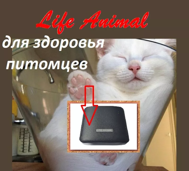 Устройство для лечения животных Life Animal. 4