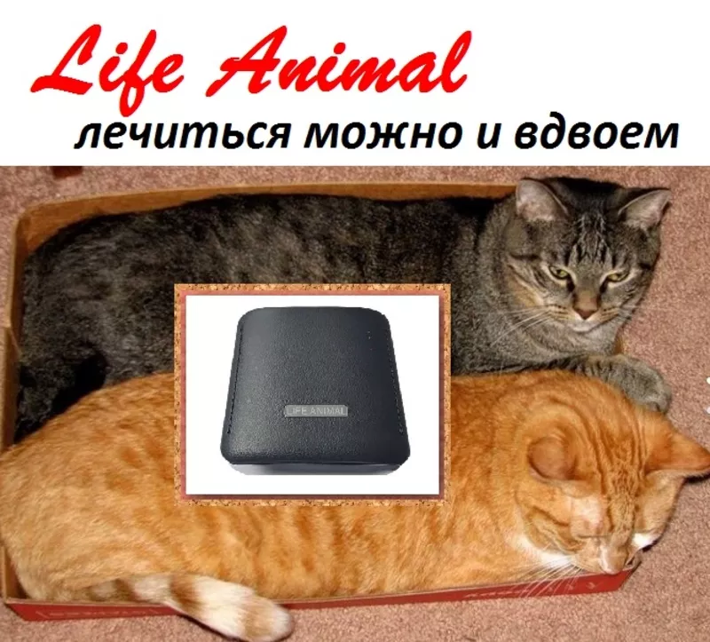 Устройство для лечения животных Life Animal. 5