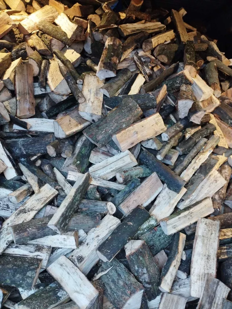 Купить дрова в Херсоне и Херсонской области.